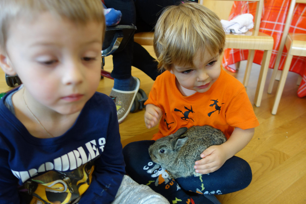 20_2_18-Hasenbesuch im Zwergengarten _25_.JPG