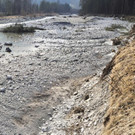landschaft_aigner41.jpg