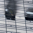 Trump_Tower_Fire_96240.jpg
