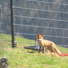 IMG_0191.JPG