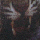 981203.jpg