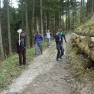Freiwilligentag 2015 _30_.JPG