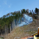Spektakulärer Feuerwehr-Einsatz - Waldbrand in Gantschier