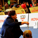 Int_Hundeausstellung in Salzburg 08_04_2018  Pressefotopongau MW _1_.JPG