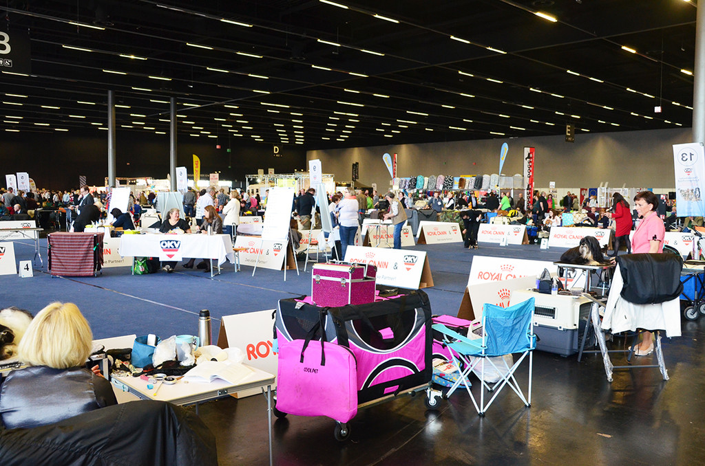 Int_Hundeausstellung in Salzburg 08_04_2018  Pressefotopongau MW _6_.JPG