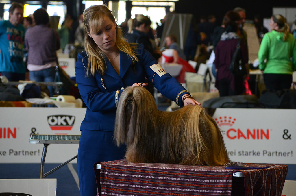 Int_Hundeausstellung in Salzburg 08_04_2018  Pressefotopongau MW _8_.JPG