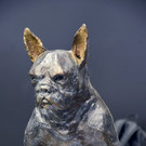 Int_Hundeausstellung in Salzburg 08_04_2018  Pressefotopongau MW _23_.JPG