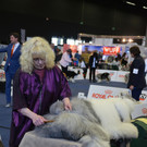 Int_Hundeausstellung in Salzburg 08_04_2018  Pressefotopongau MW _24_.JPG