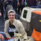 Int_Hundeausstellung in Salzburg 08_04_2018  Pressefotopongau MW _28_.JPG