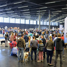 Int_Hundeausstellung in Salzburg 08_04_2018  Pressefotopongau MW _40_.JPG