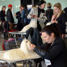 Int_Hundeausstellung in Salzburg 08_04_2018  Pressefotopongau MW _50_.JPG