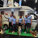 Int_Hundeausstellung in Salzburg 08_04_2018  Pressefotopongau MW _56_.JPG