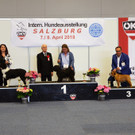 Int_Hundeausstellung in Salzburg 08_04_2018  Pressefotopongau MW _70_.JPG