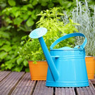 Garten750.jpg