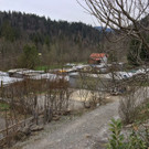vorarlberg-doren-eins.jpg