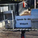 x_IMG_8532.JPG