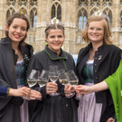 Steiermark-Fruehlings _23 von 77_.JPG