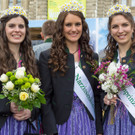 Steiermark-Fruehlings _33 von 77_.JPG