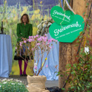 Steiermark-Fruehlings _47 von 77_.JPG