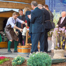 Steiermark-Fruehlings _81 von 77_.JPG