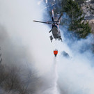 Waldbrand in Braz - aktuelle Bilder