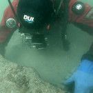 Sensation: Bronzezeit-Boot aus See geborgen