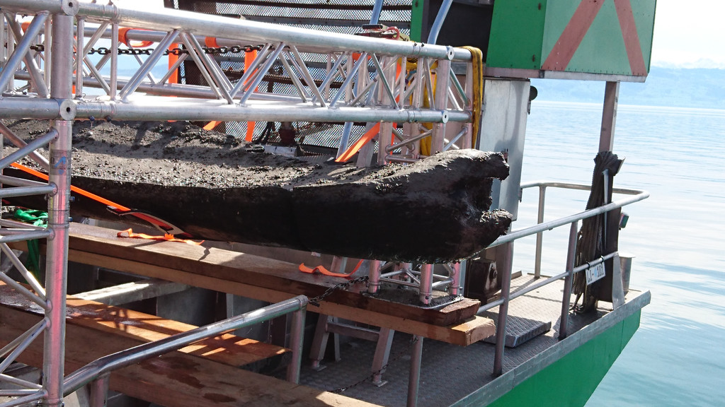 Einbaum_Nahaufnahme_Nachweis BGfU_2018-04-11.JPG