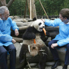 Staatsspitze trifft auf Pandas
