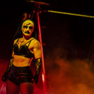 Zirkus des Grauens _3 von 60_.jpg