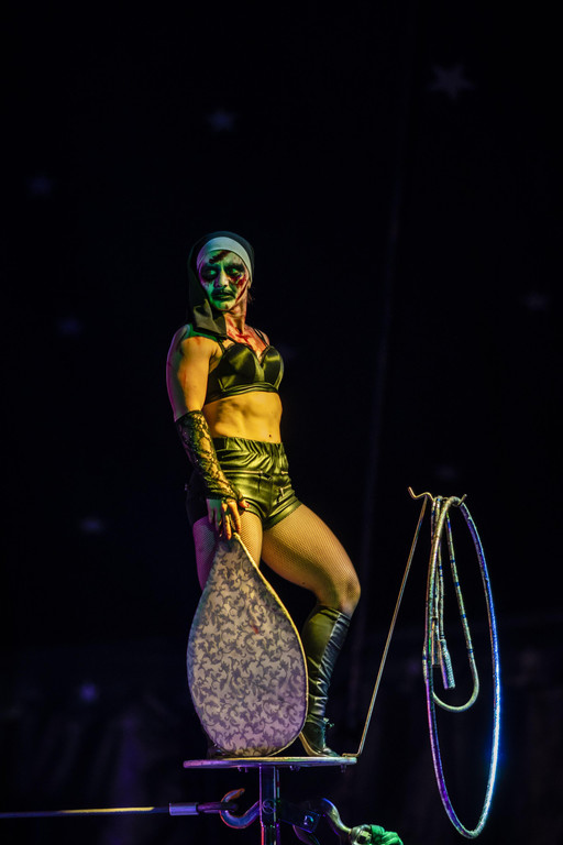 Zirkus des Grauens _8 von 60_.jpg