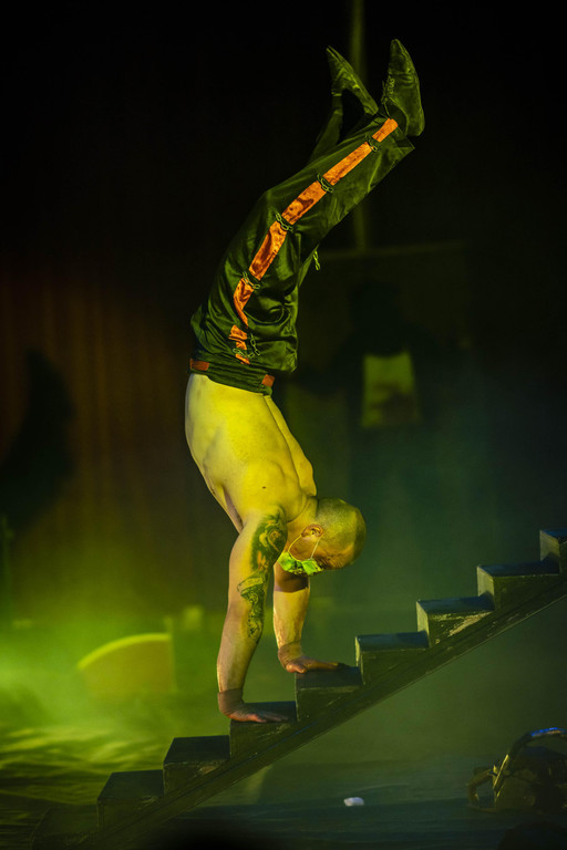 Zirkus des Grauens _19 von 60_.jpg