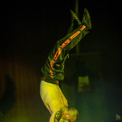 Zirkus des Grauens _19 von 60_.jpg