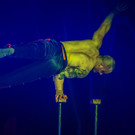 Zirkus des Grauens _21 von 60_.jpg