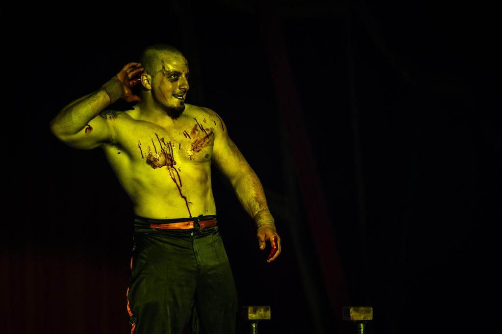 Zirkus des Grauens _22 von 60_.jpg