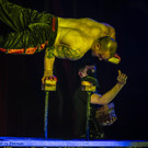 Zirkus des Grauens _24 von 60_.jpg