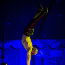 Zirkus des Grauens _25 von 60_.jpg