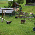 Dalaas Hueber Ch G2.JPG