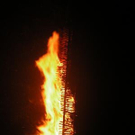 992520.jpg