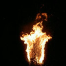 993591.jpg