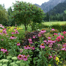 Dalaas Vonblon G4.JPG