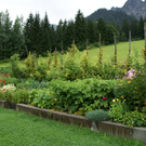 Dalaas Vonblon G5.JPG