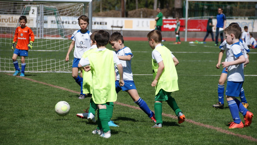 DSC08433.JPG