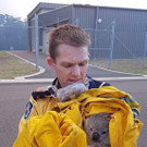 Buschbrand in Sydney