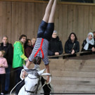 6F8A0572_preview.jpeg