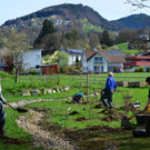 FWTag 140418_55.JPG