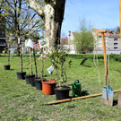 IMG_4168.JPG
