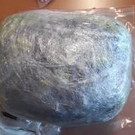 Polizei überführte Dealer bei Personendurchsuchung