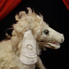 Mondschaf  n.jpg