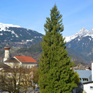 DSC_1335.jpg