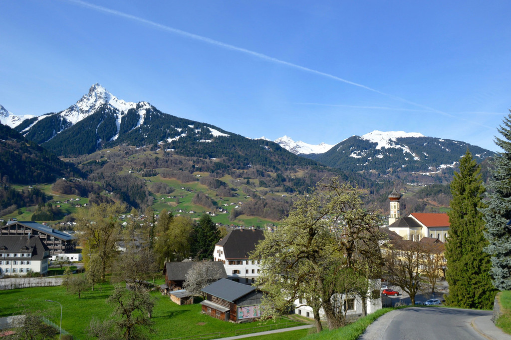 DSC_1342.jpg